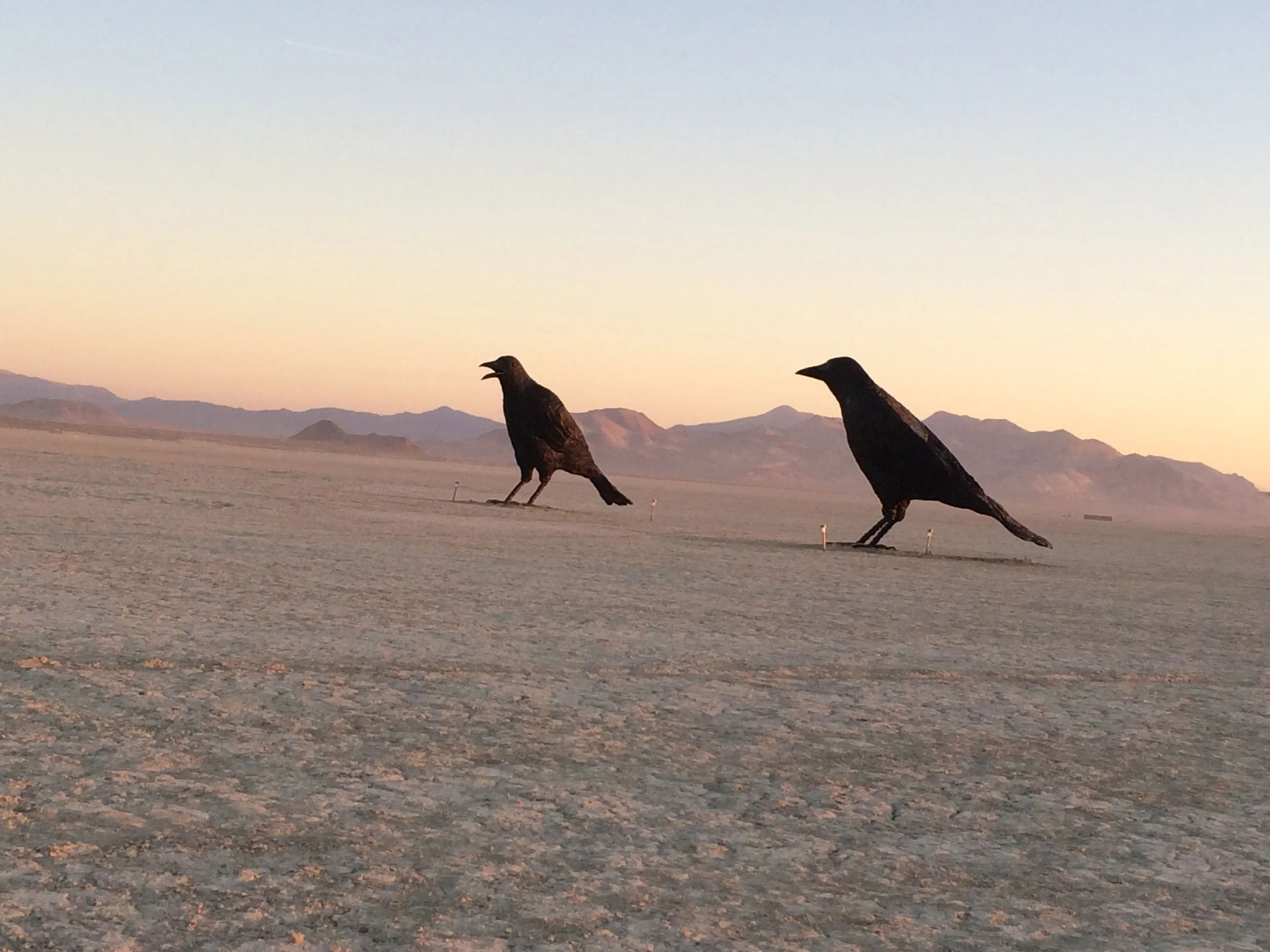 MURDER OF CROWS   2016—6’ x 11.5’ x 4’ (approx.), Five Resin Crows, Burning Man Installation