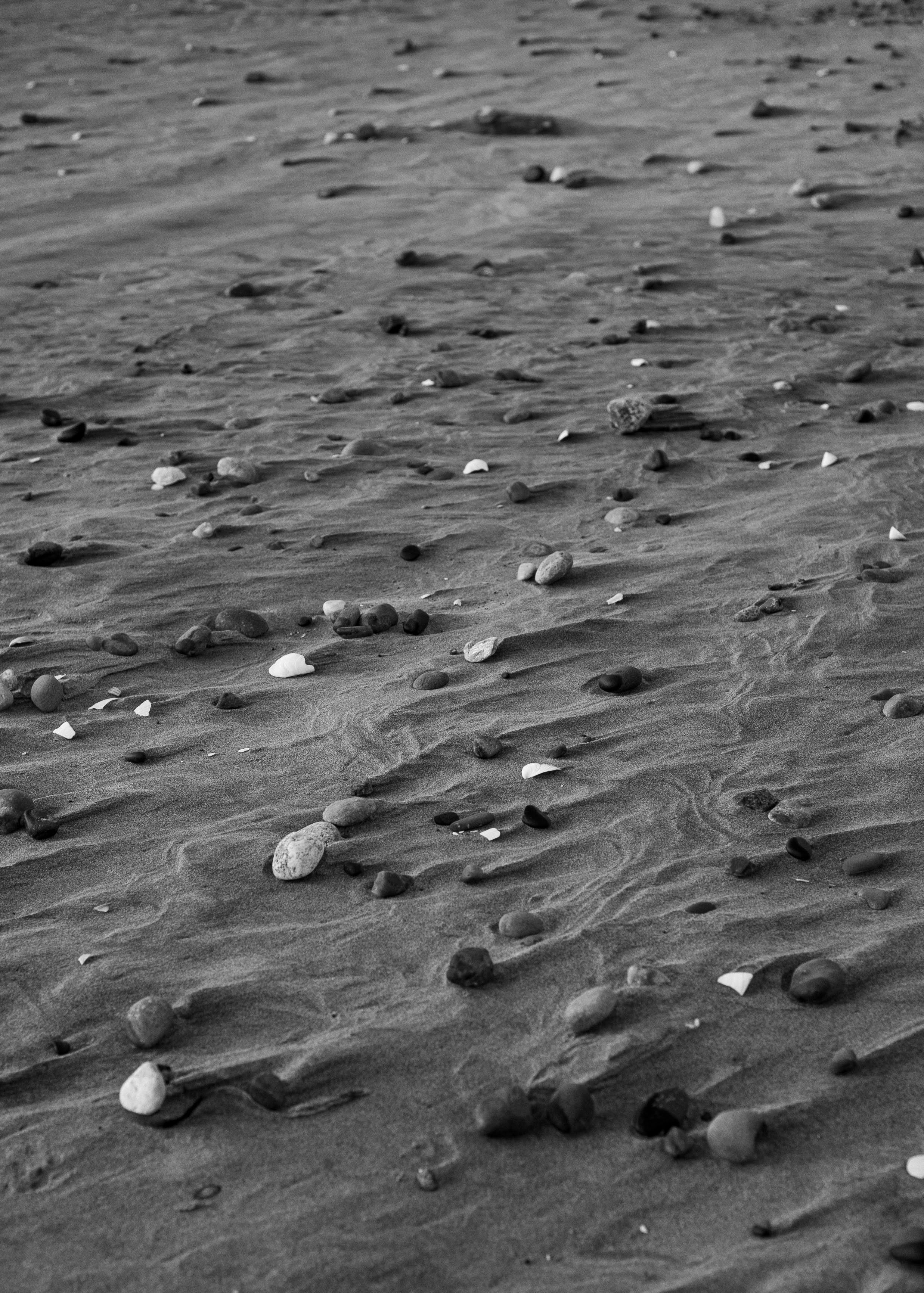 Black and white photo of a sandy beach scattered with small rocks and seashells.