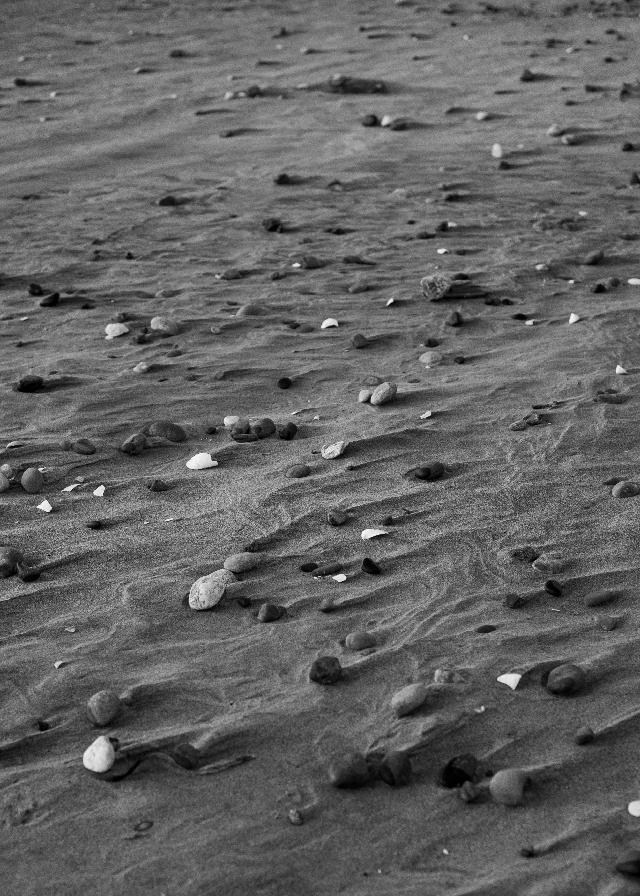 A black and white photograph of a sandy beach with small pebbles scattered across the surface.