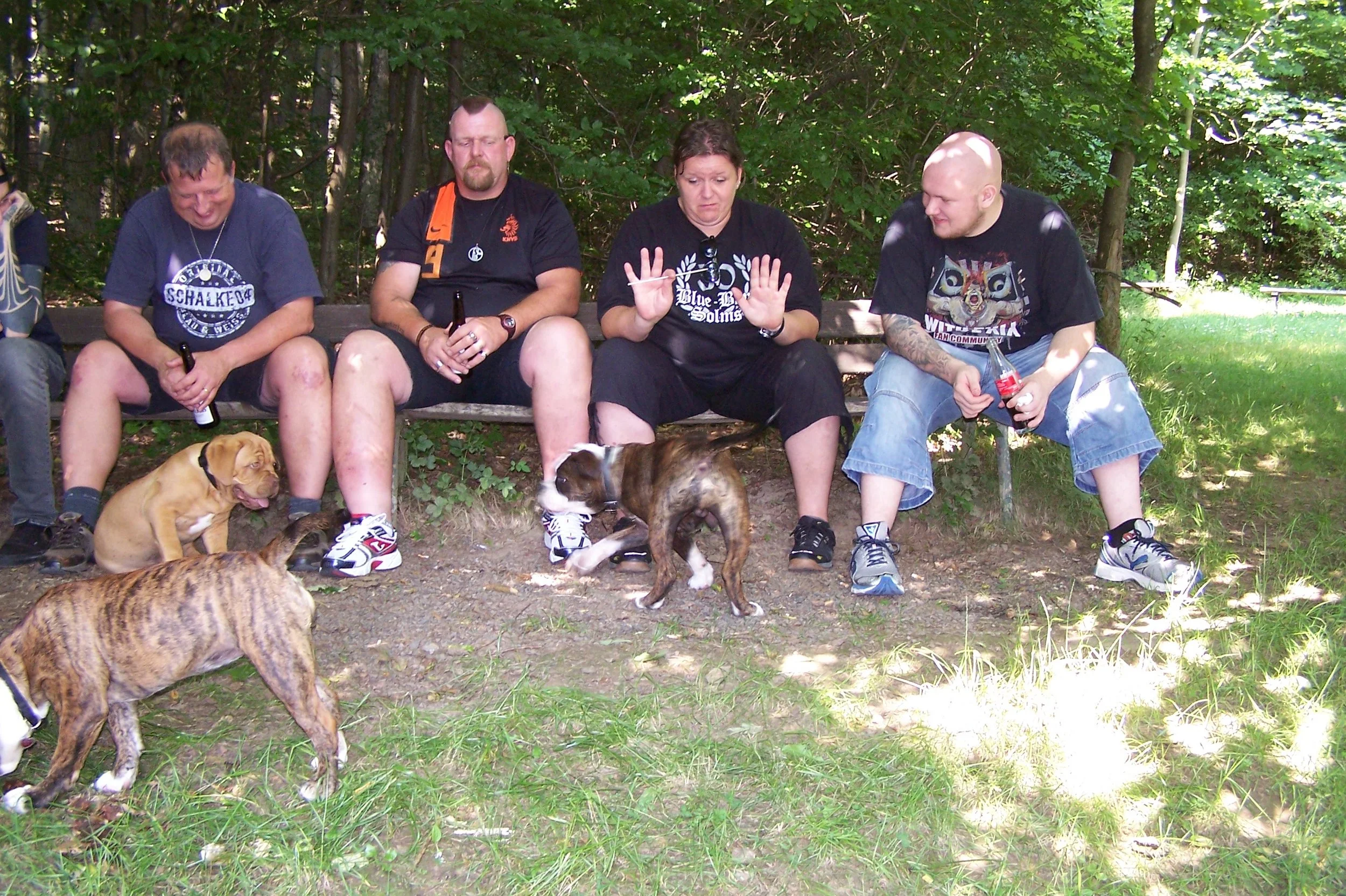 Vier Menschen sitzen auf einer Bank im Wald, mit mehreren Hunden auf dem Boden um sie herum. Zwei Männer und eine Frau sehen entspannt und lachen oder schauen nach unten, während der Mann auf der rechten Seite eine Cola-Flasche hält.