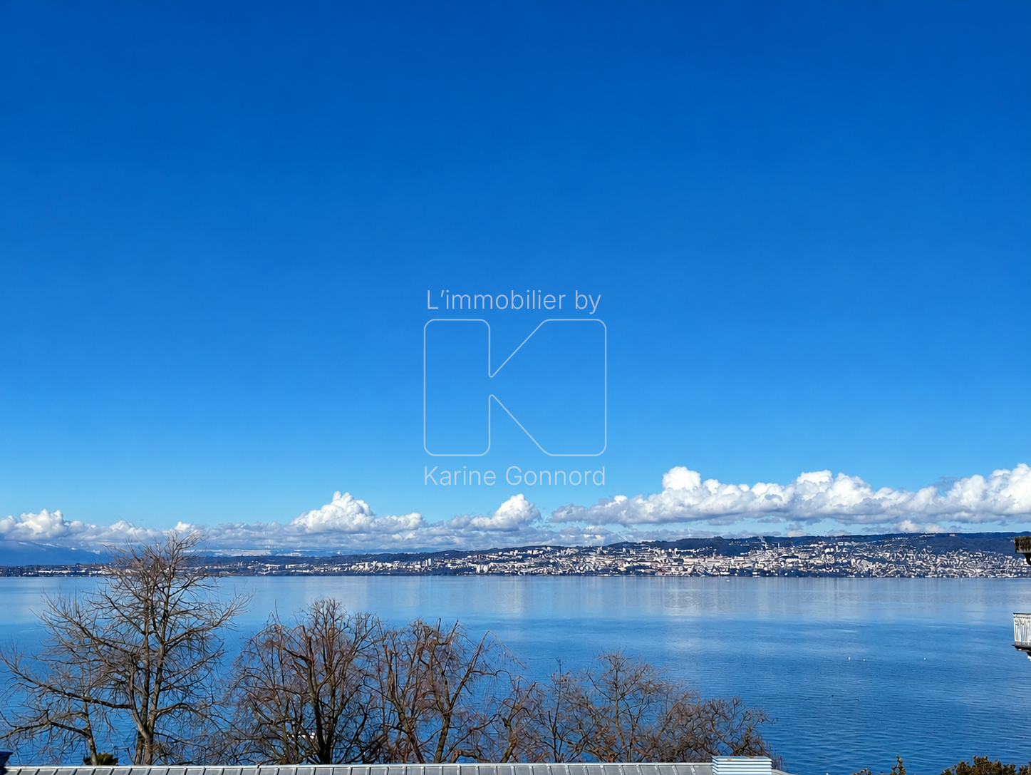 IMG_1924.png