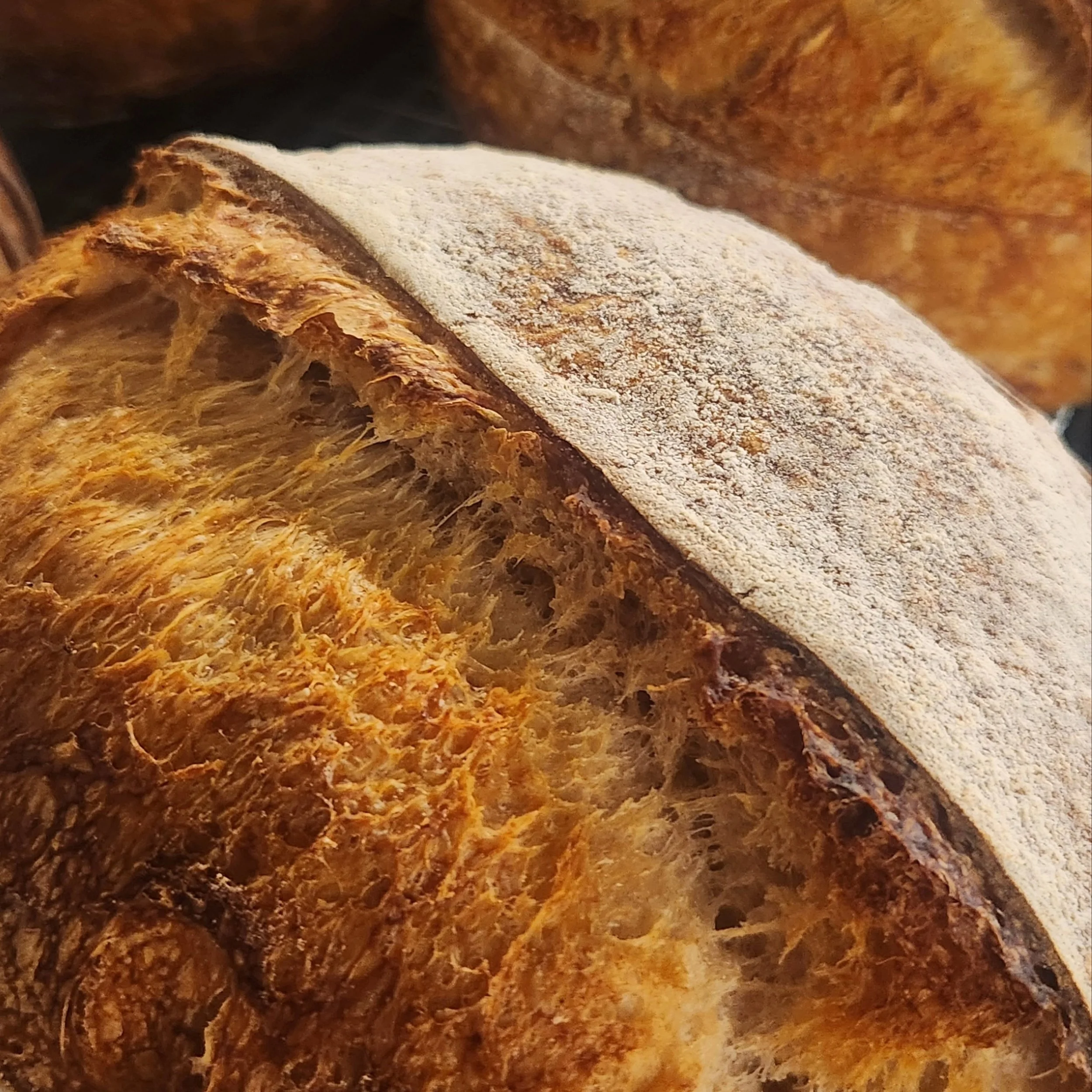 Bread Guy be Bread Guying 🤷&zwj;♂️

#Bread #baker #sourdough #fyp #foodphotography