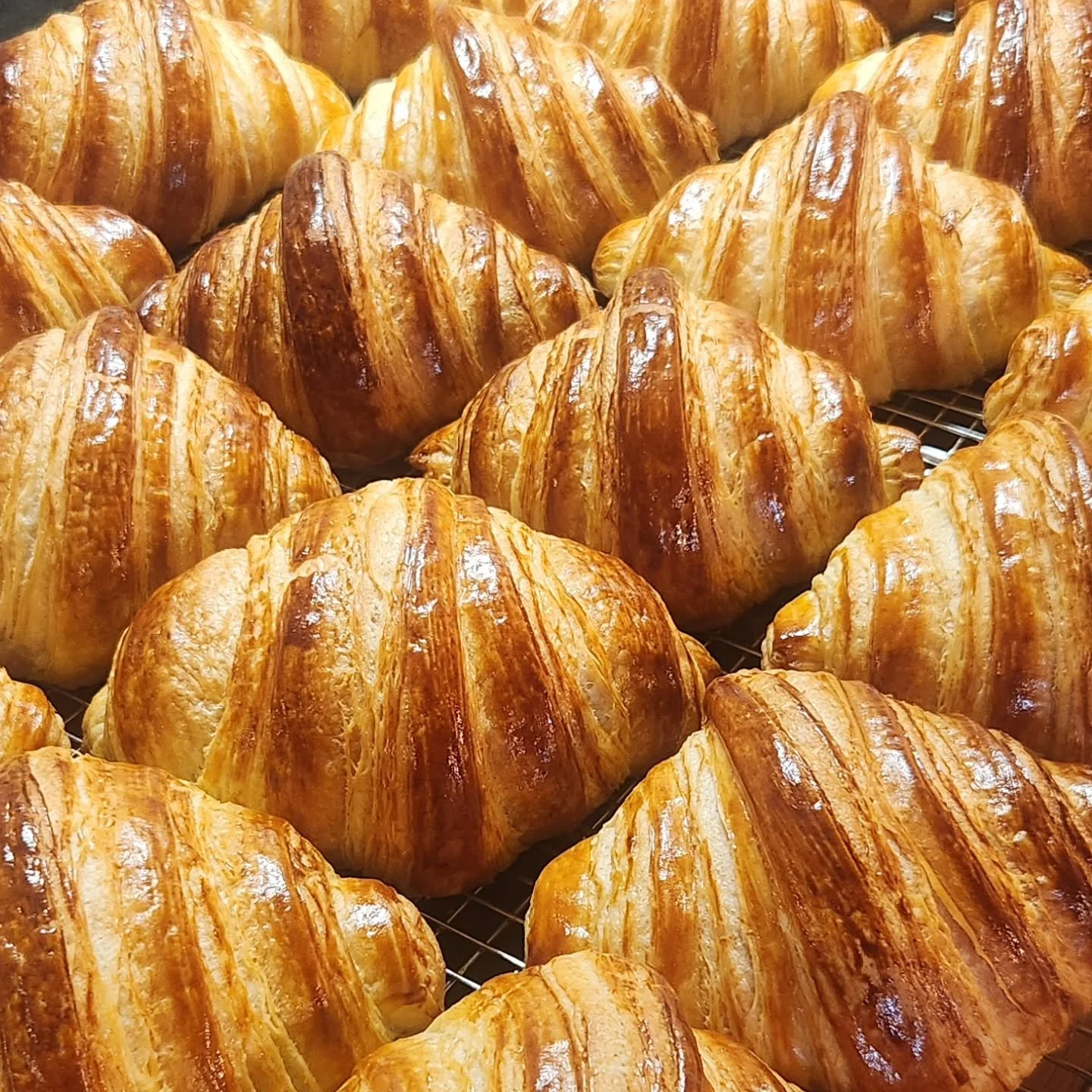 What do you think? 🙌

#bread #pastry #bakery #foodphotography #croissants