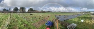 Market Garden