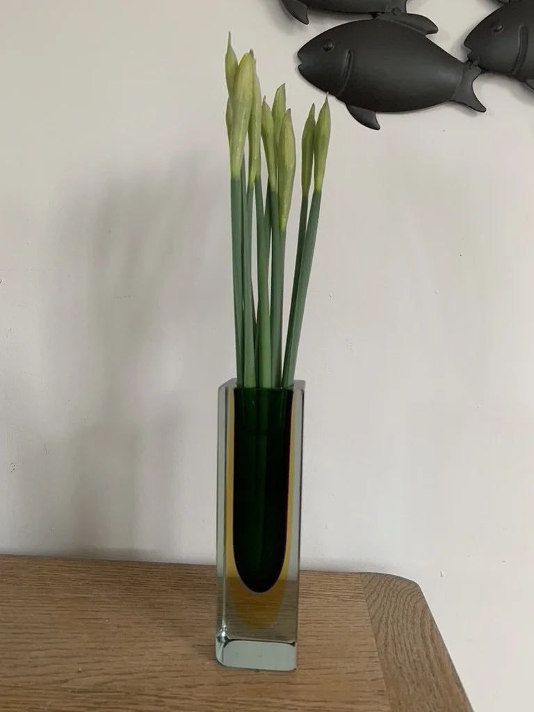 0811C9D0-E360-4E14-90C9-CA480590CF0A_1_105_c.jpeg