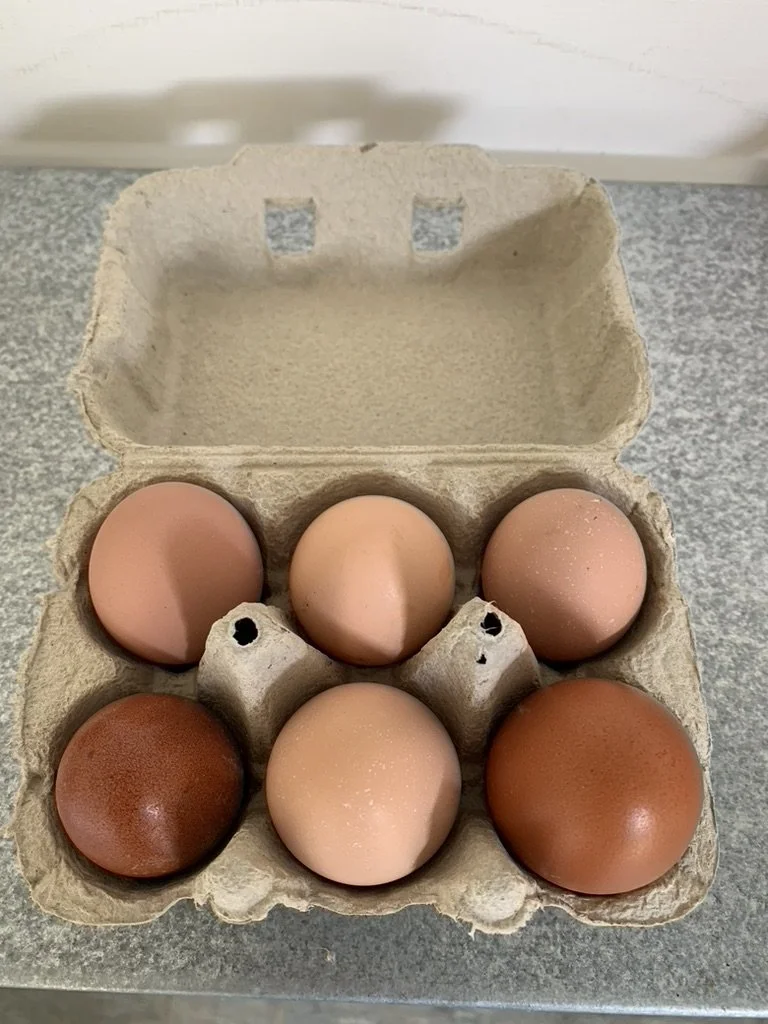 Fresh Eggs half dozen