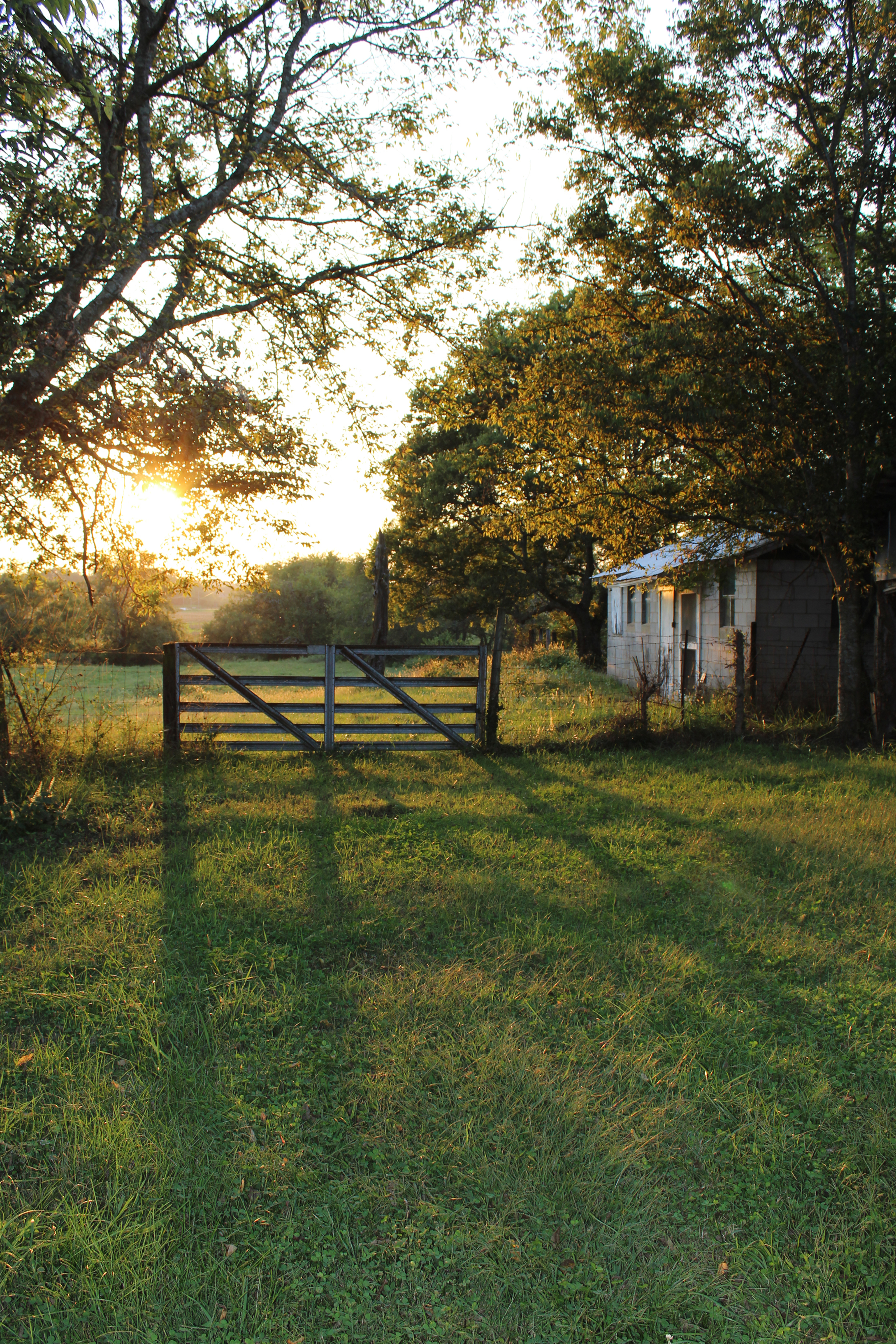 Armistead landscape shown on the official farm website