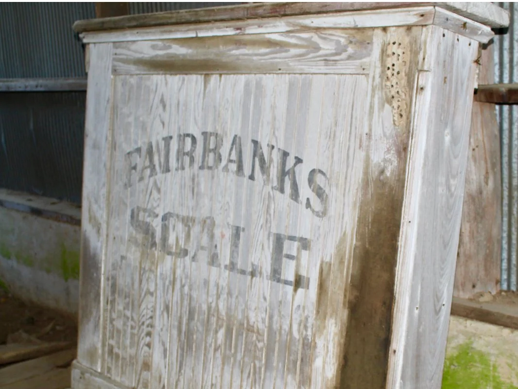 Weathered wooden box with faded black text reading "FAIRBANKS SHELF" in capital letters.