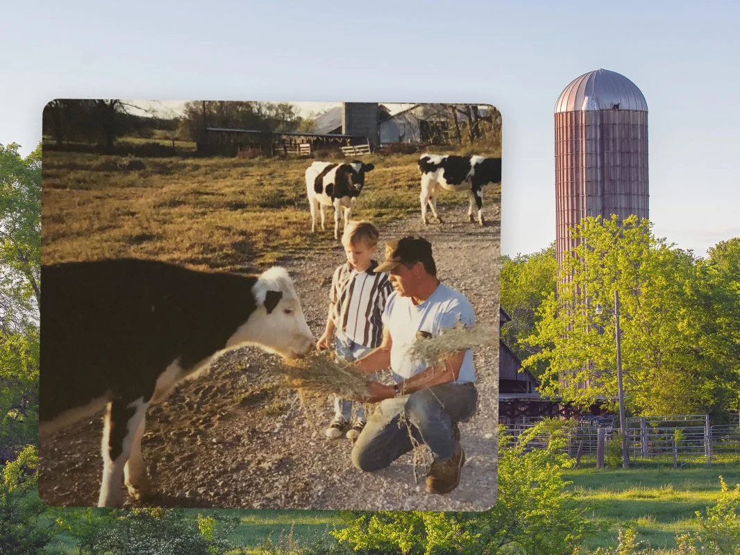 A man and a young boy interacting with a calf in a farm setting, with several cows grazing in the background.