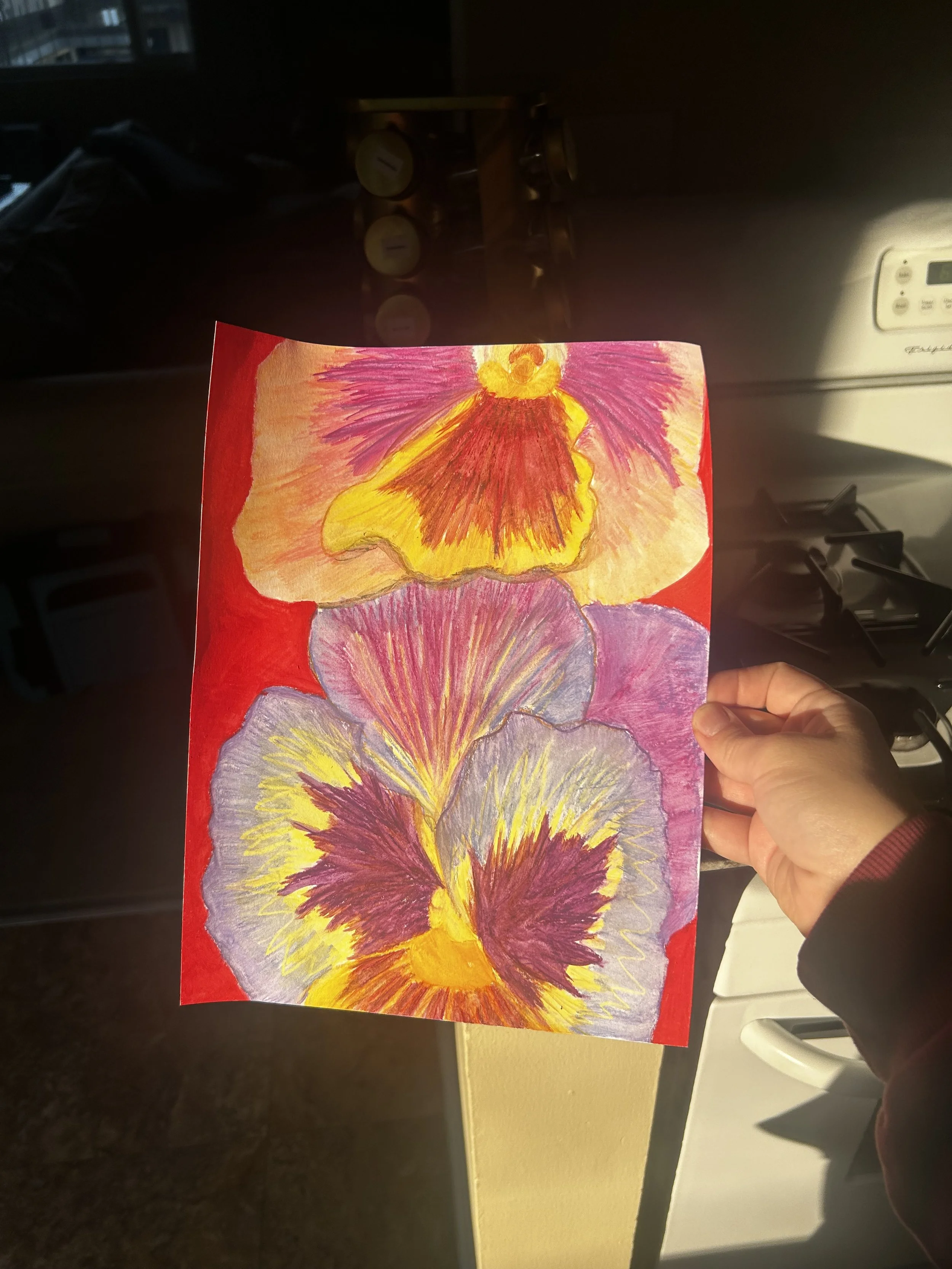 IMG_6312.jpeg