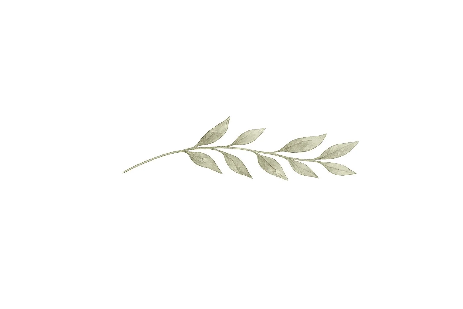 leaf.jpg