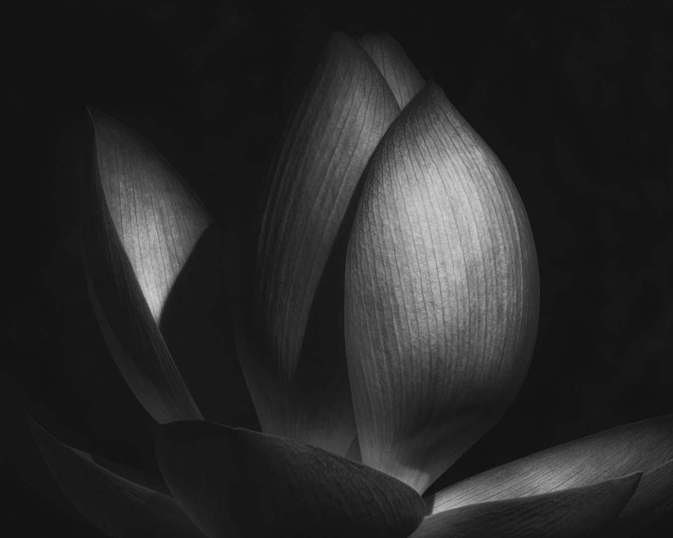 Website-11.JPG