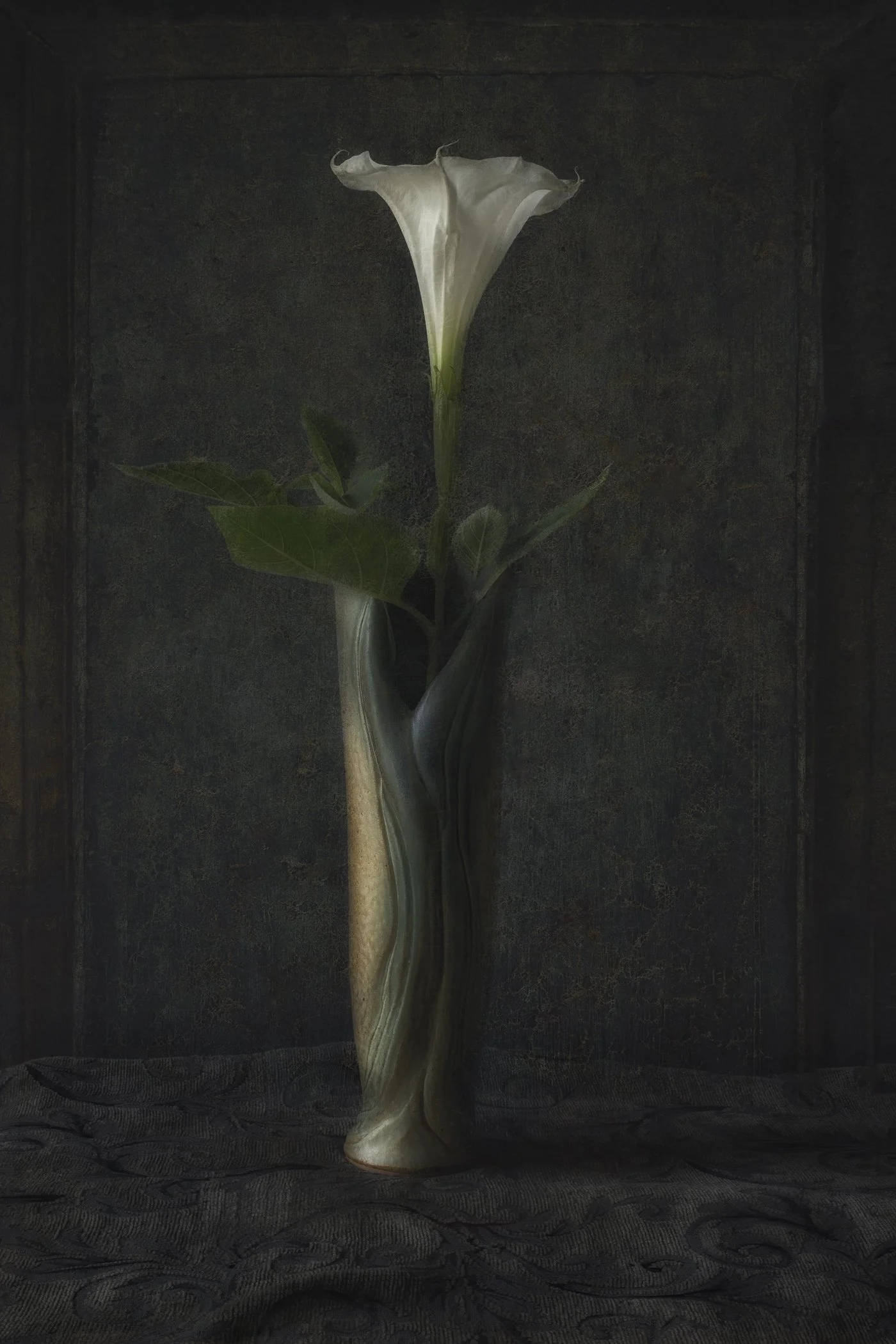 Datura - Divine_Illumination.jpg