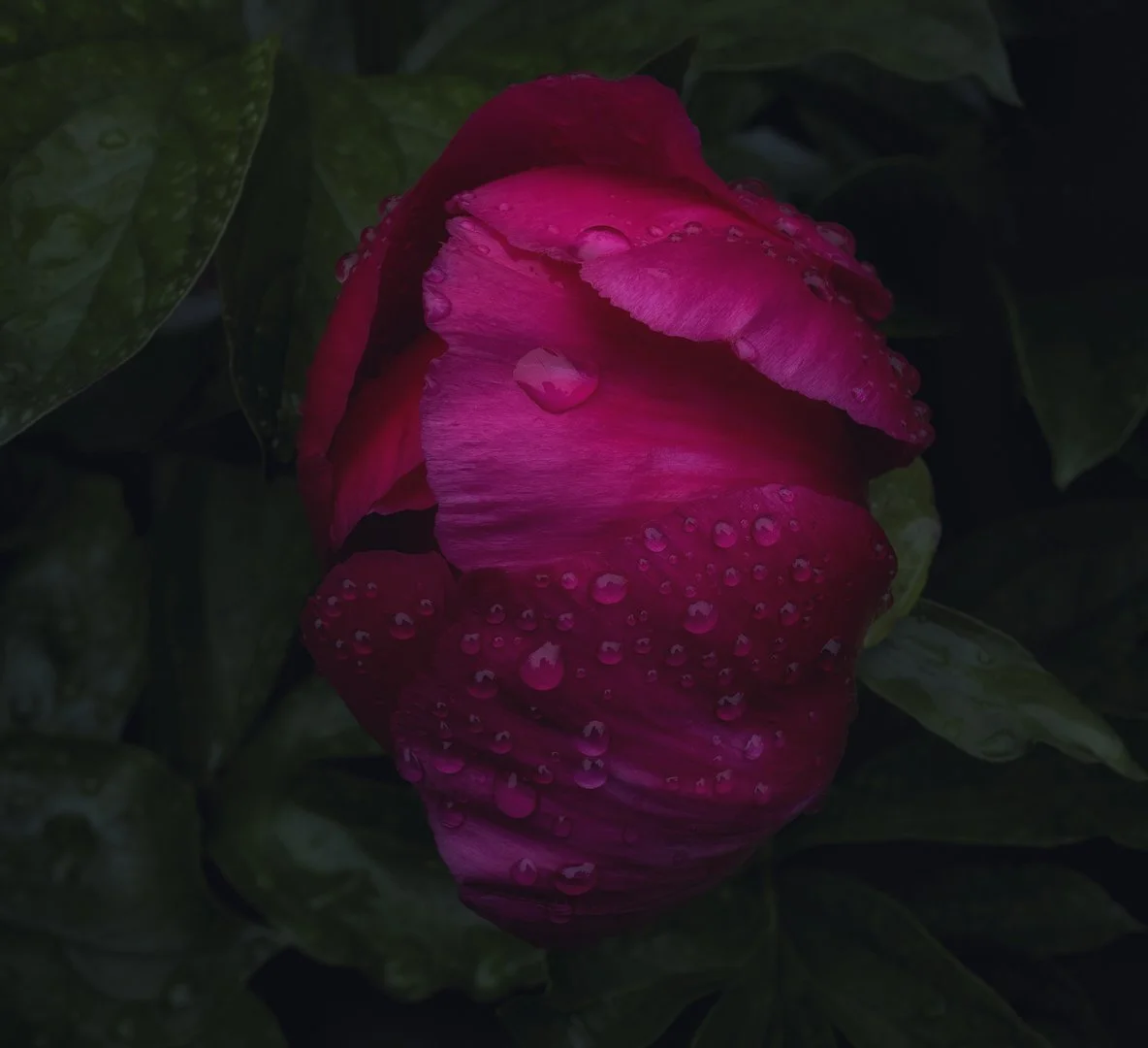 Website-27.JPG