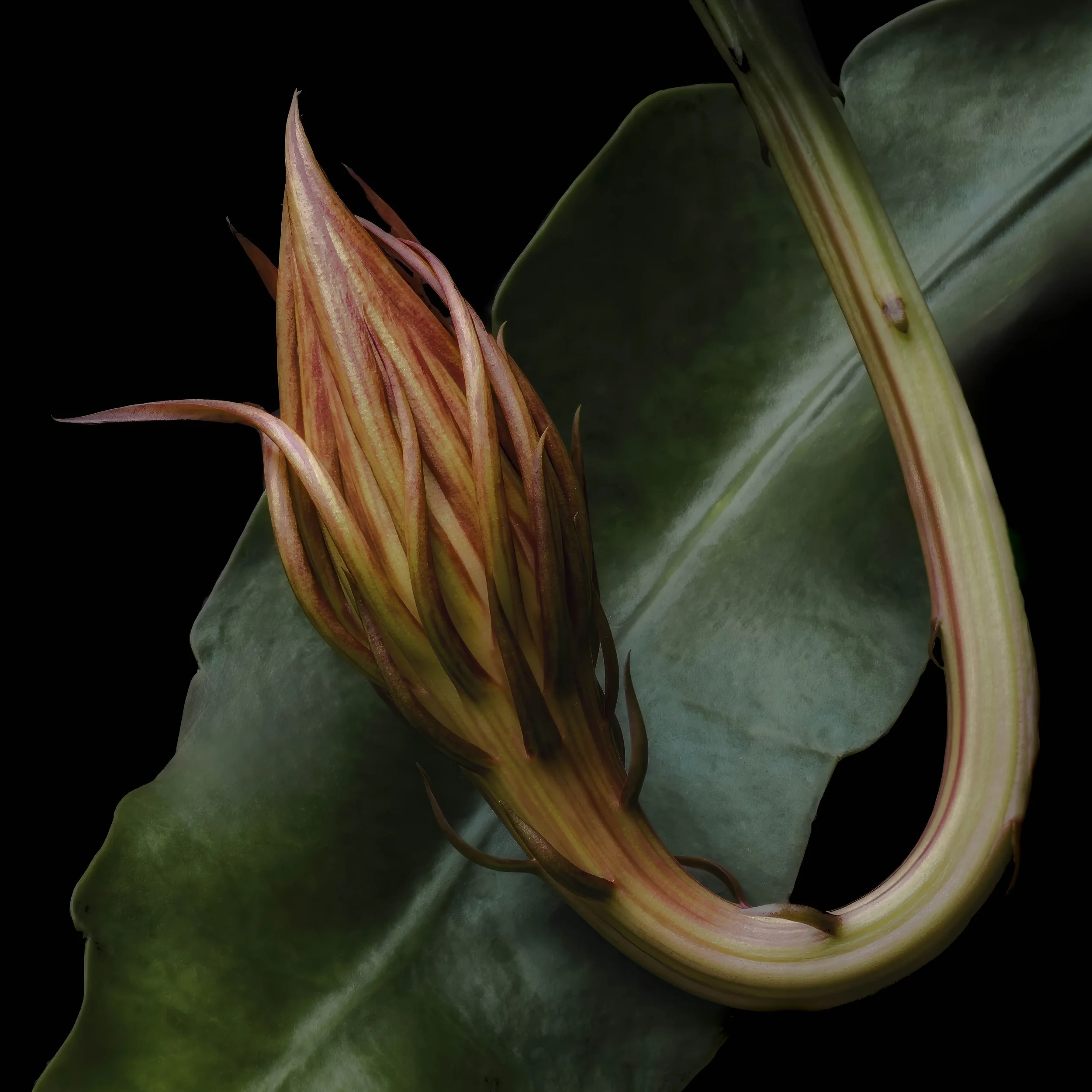 Portfolio-6.jpg