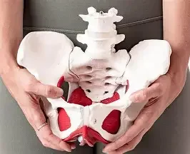 Pelvic Health Home visits