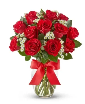 Luxury Red Roses - One Dozen