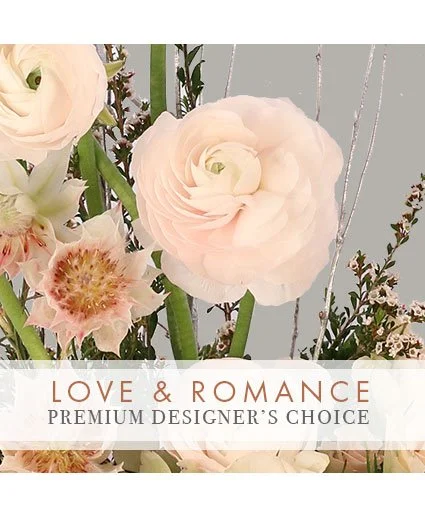 Love & Romance Artistry