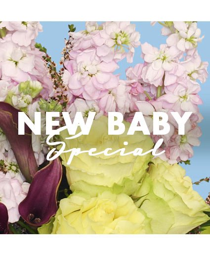 New Baby Special