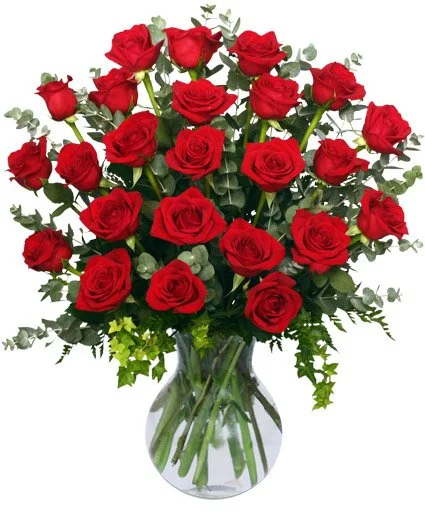 24 Radiant Roses