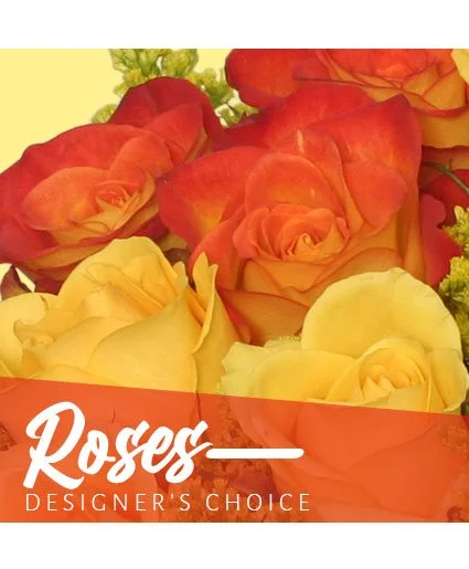 Beautiful Roses