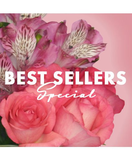 Best of the Best Special