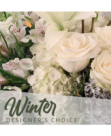 Beautiful Winter Flowers