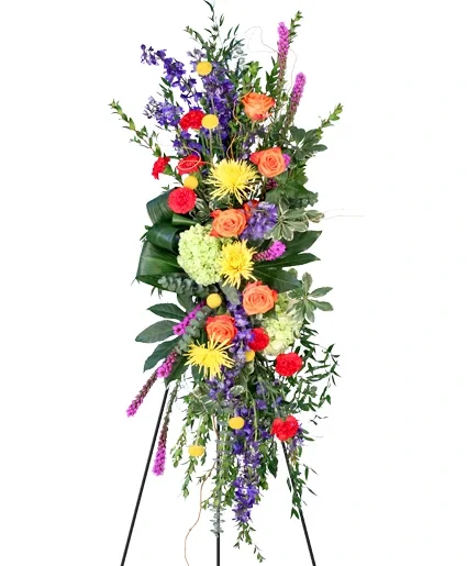 Consoling Colors