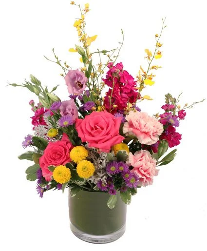Fun Fuchsia