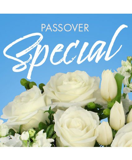 Passover Special