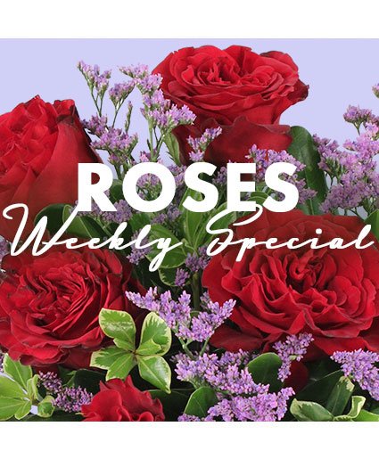 Rose Special