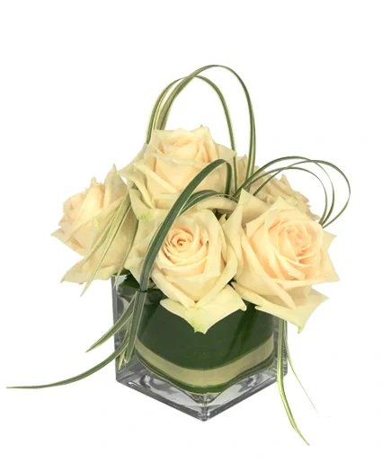 Dainty White Roses