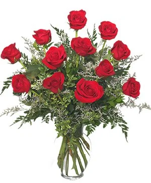 Docena De Rosas Clasicas