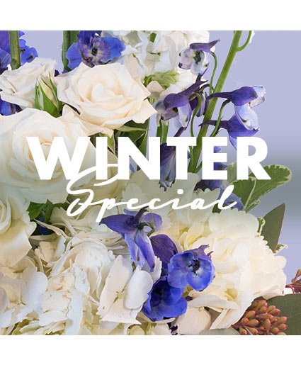 Winter Special