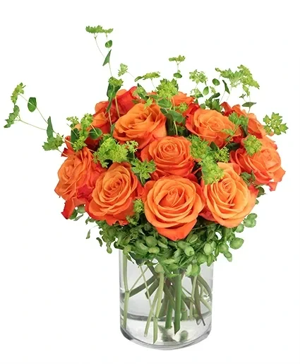 Timeless Tangerine