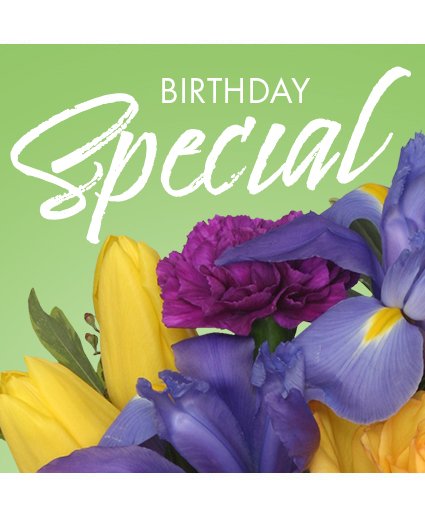 Birthday Special