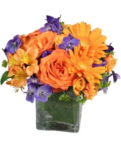 Enthusiasm Blossoms