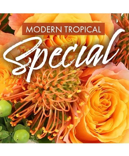 Modern Tropical Special