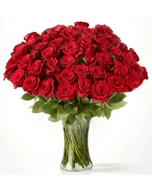 Fifty Long Stem Red Roses