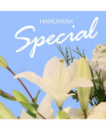 Hanukkah Special