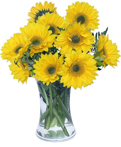 Hello Sunshine!