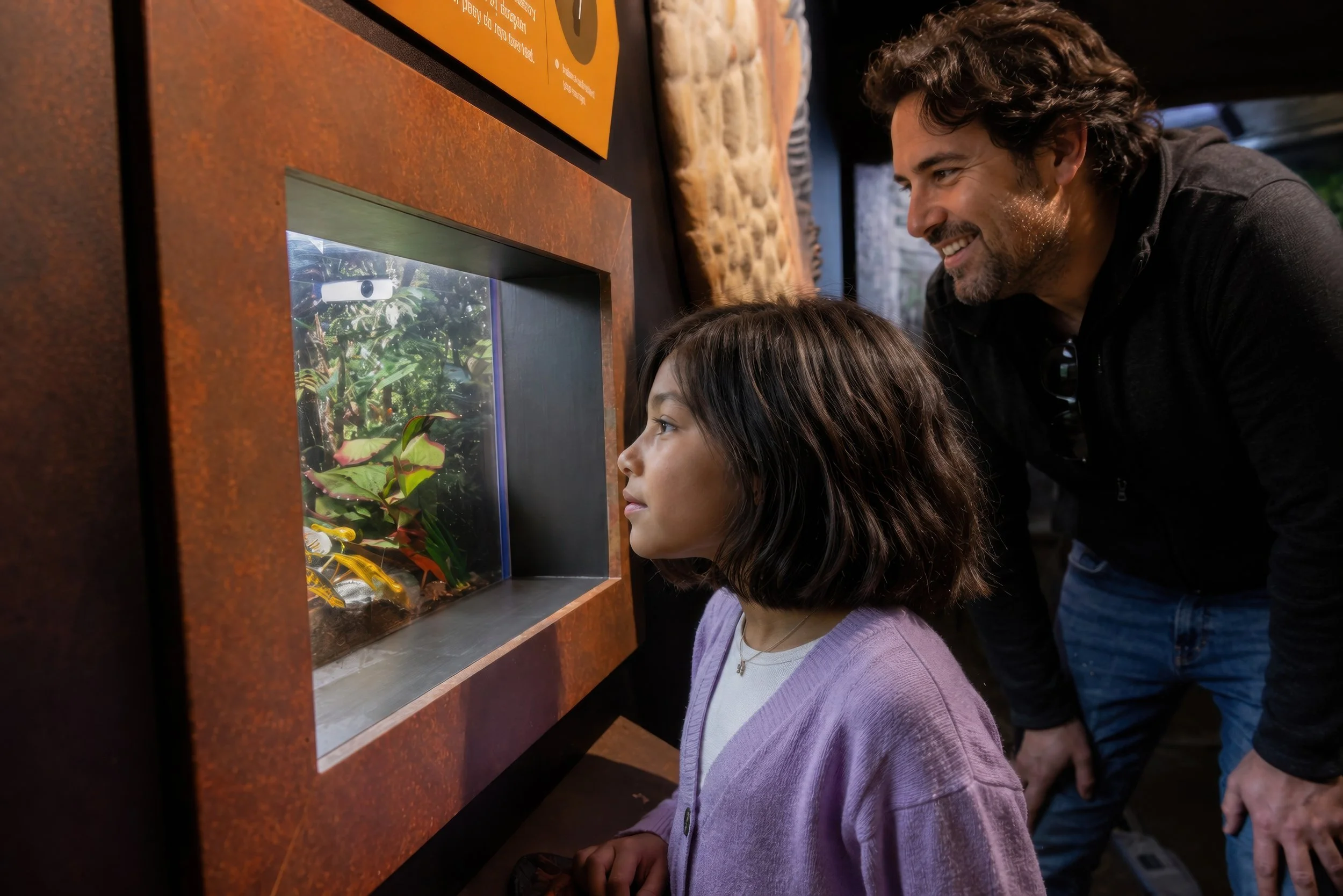 Family | Dragons Exhibit | Ripley’s Aquarium of Canada