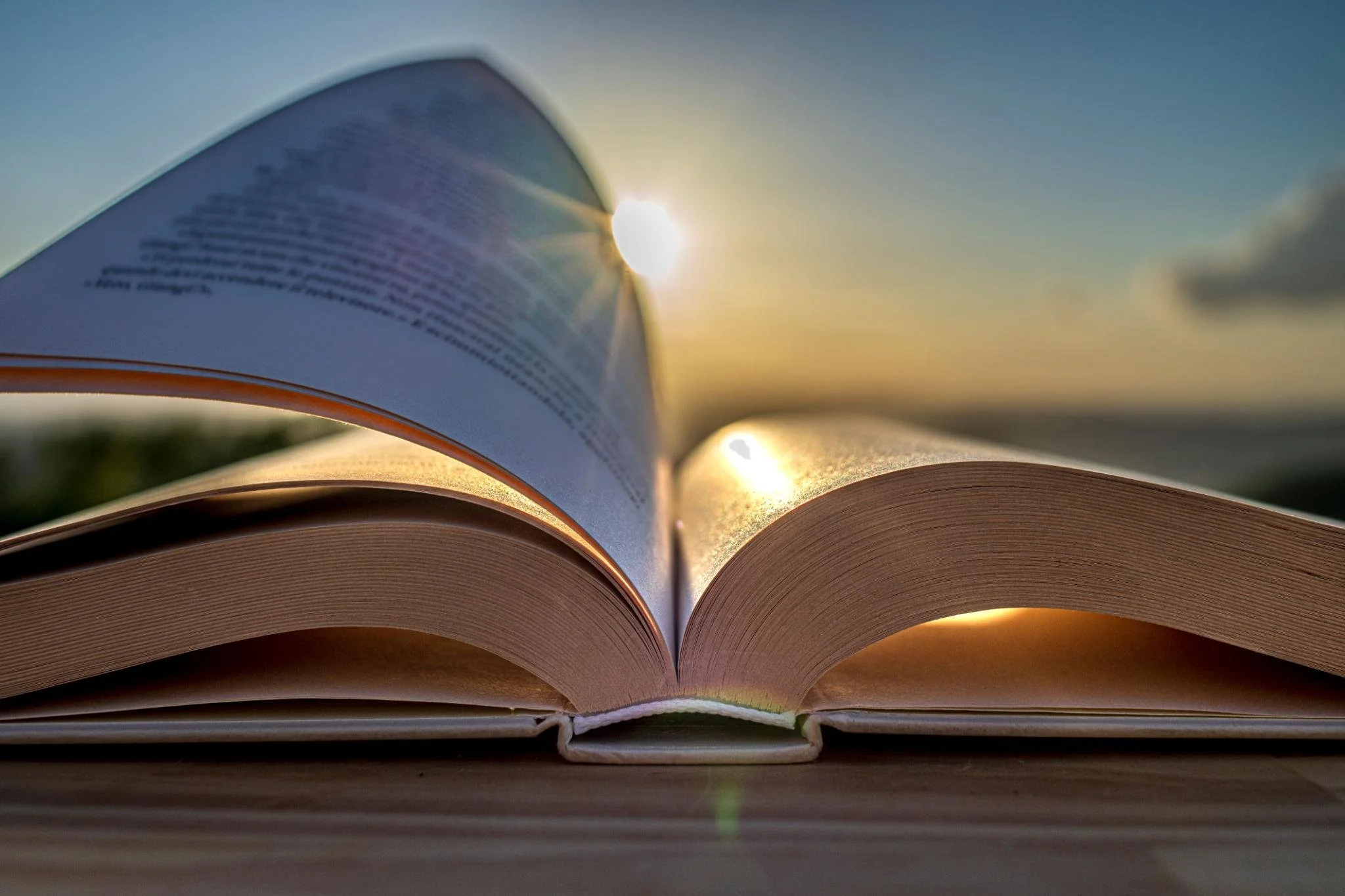 Welcome to Next Chapter Coaching: Helping Young Adults Find Clarity, Confidence, and Direction