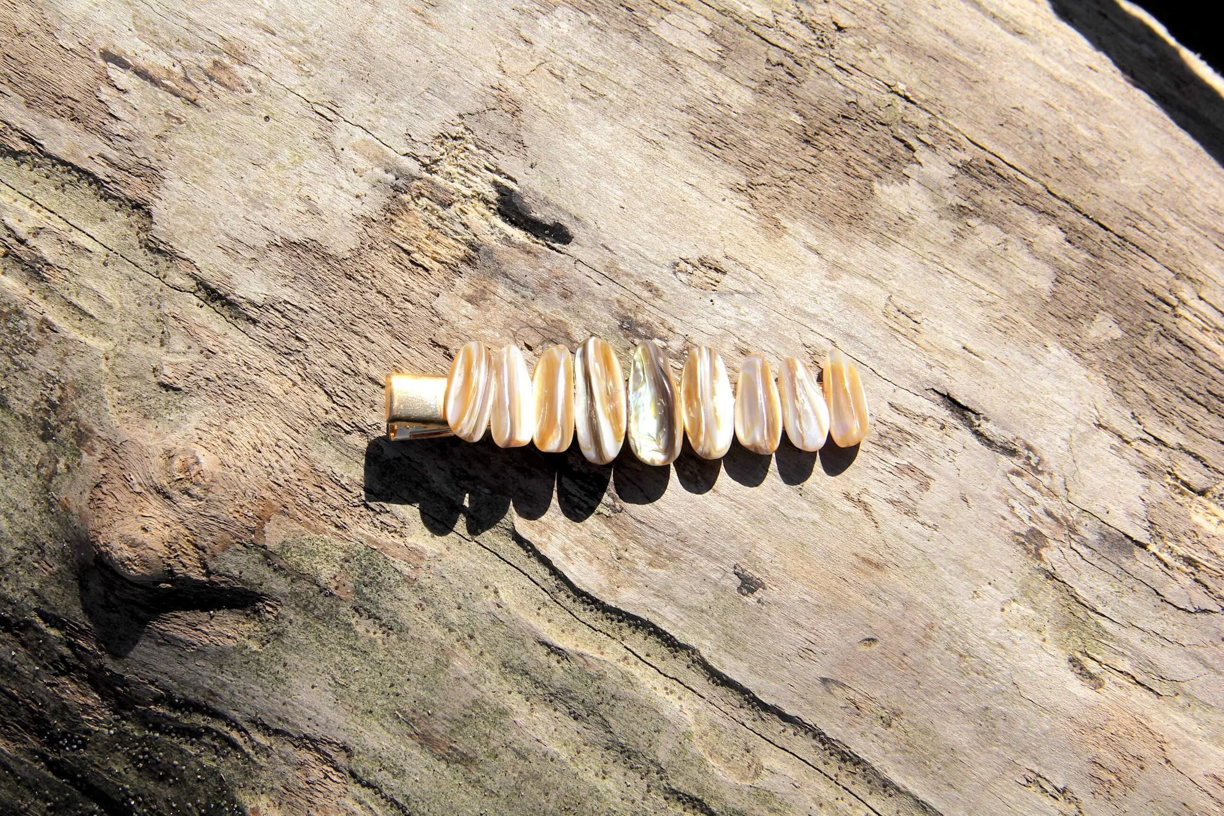 A genuine seashell gold hair clip laying on a driftwood log on the beach.