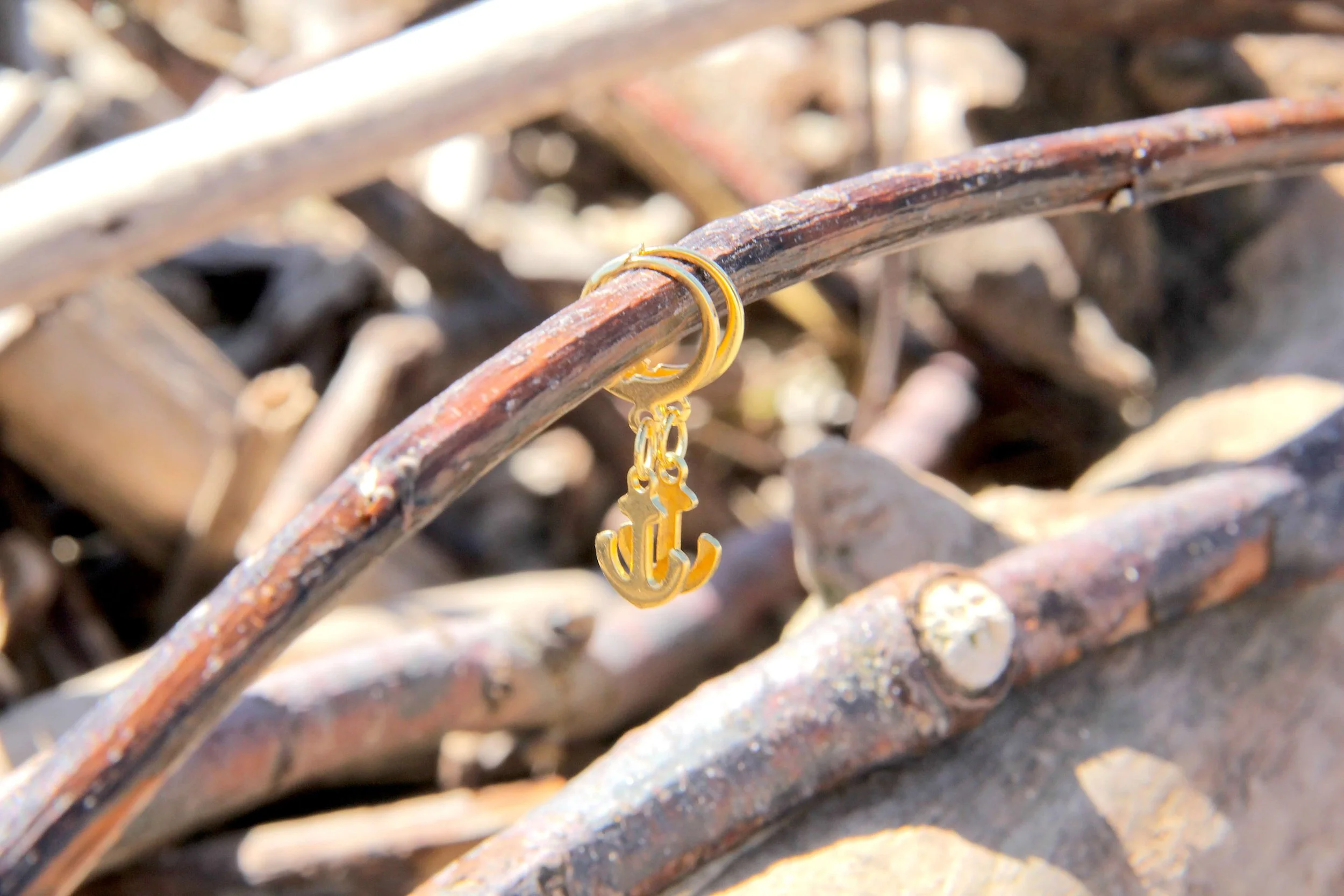 A pair of 18K gold-plated stainless steel anchor charm huggie hoop earrings suspended from a driftwood stick on the beach.