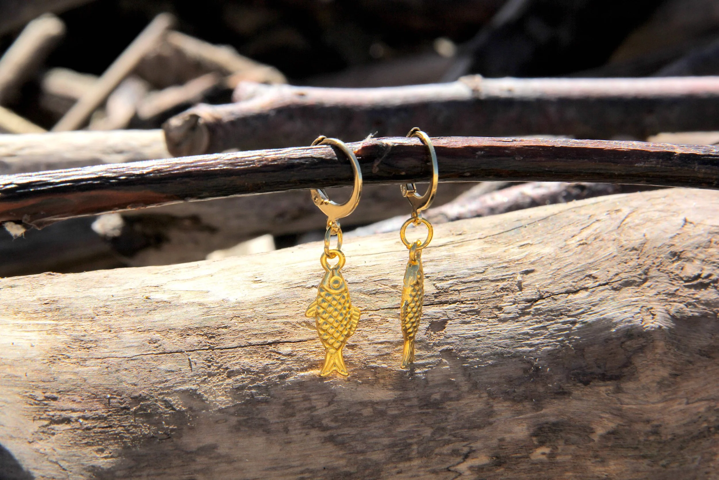 A pair of gold-tone metal sardine charm huggie hoop earrings suspended from a driftwood stick on the beach.