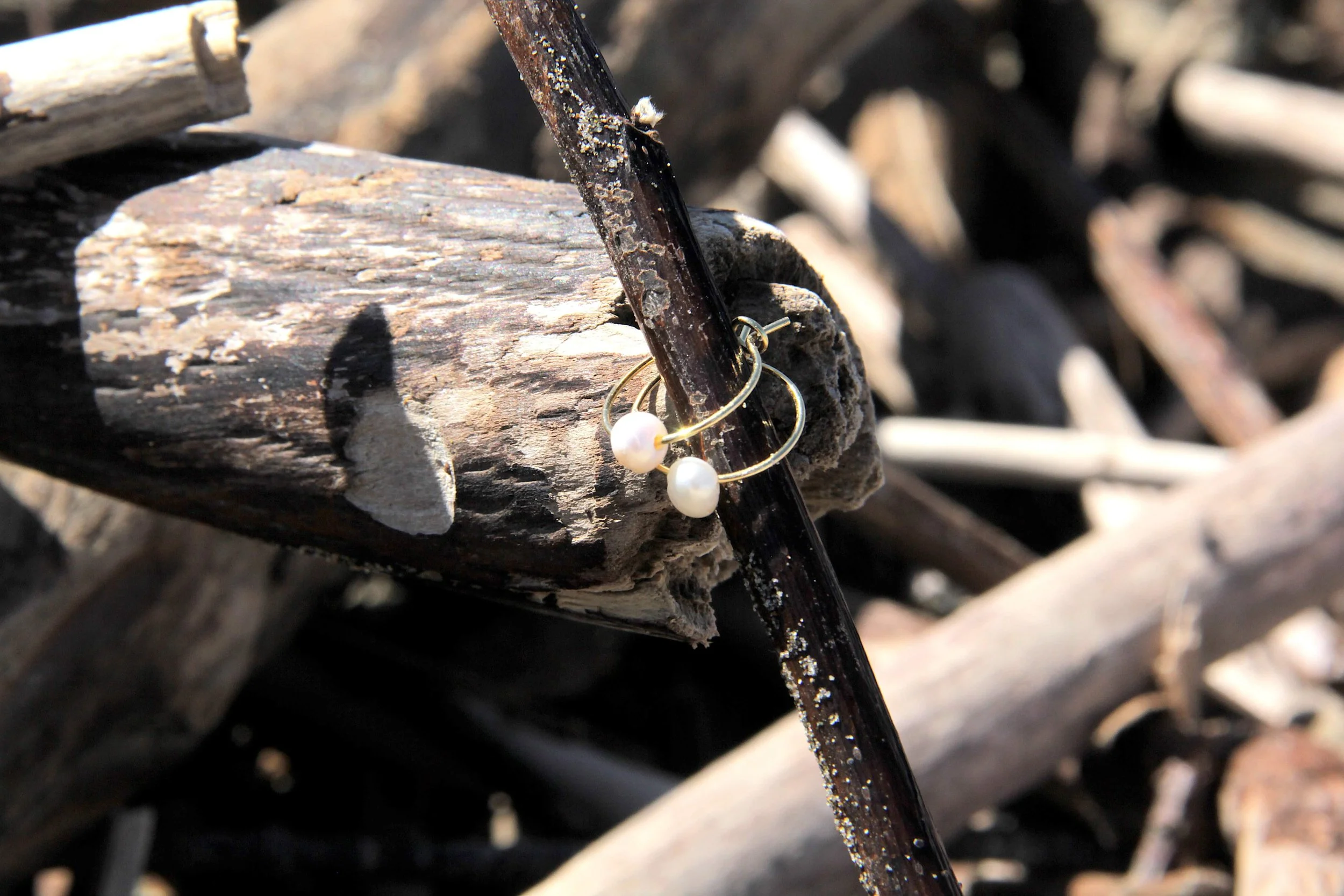 A pair of gold stainless steel freshwater pearl hoop earrings sitting on a driftwood stick on the beach..