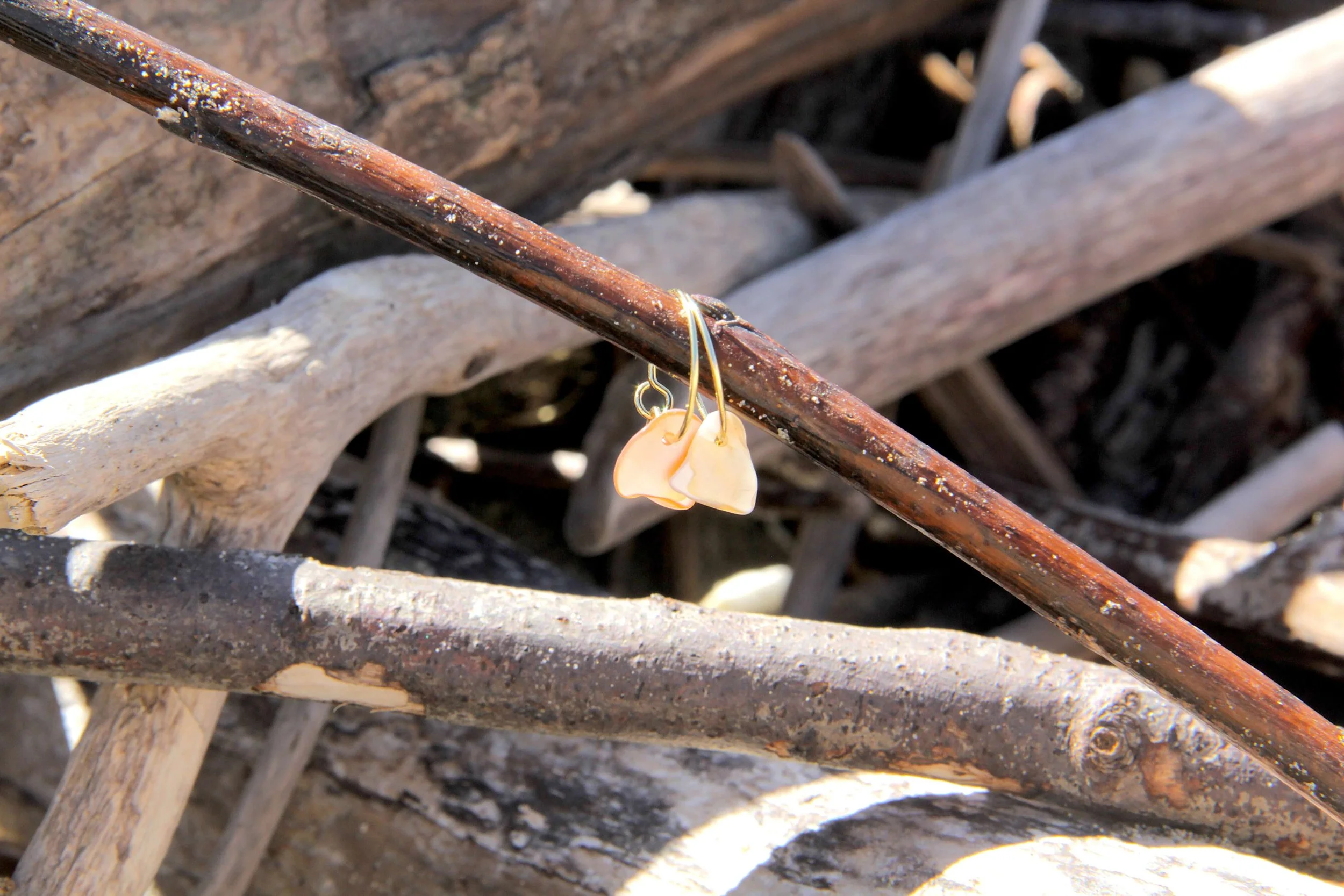 A pair of gold stainless steel seashell hoop earrings sitting on a driftwood stick on the beach.