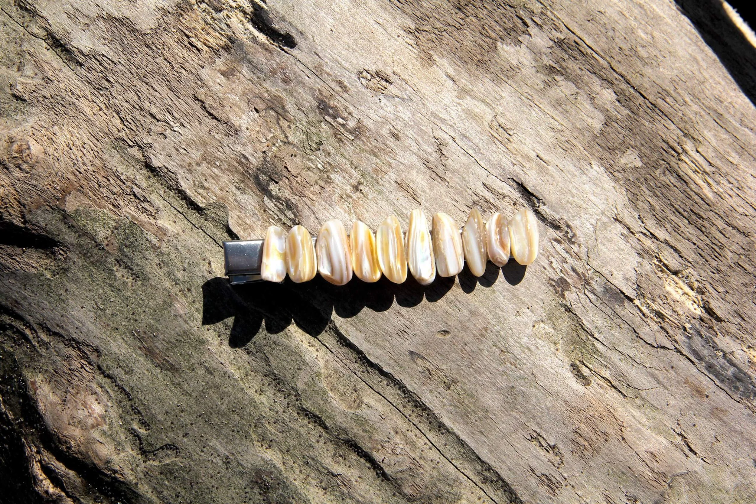 A genuine seashell silver hair clip laying on a driftwood log on the beach.