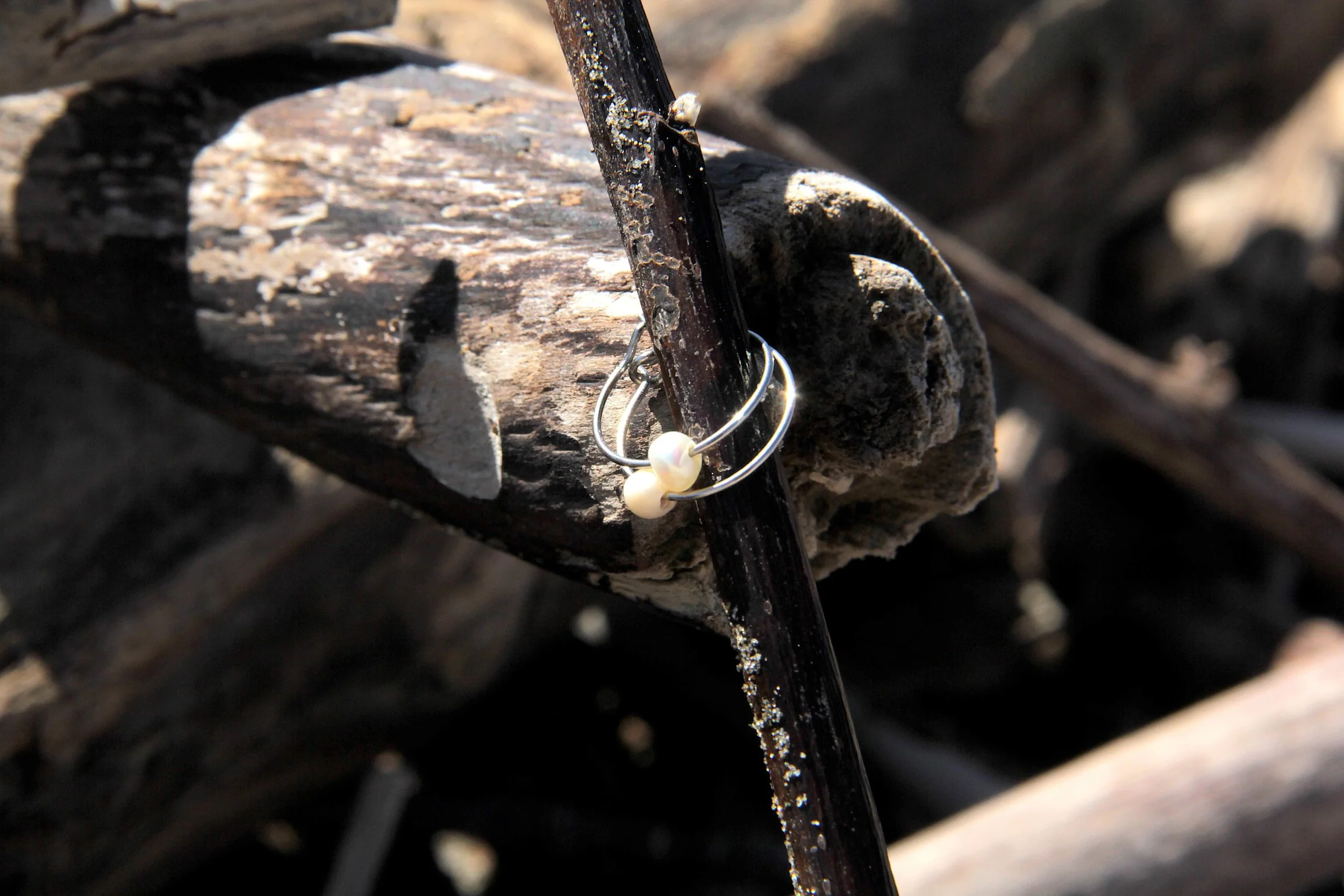 A pair of silver stainless steel freshwater pearl hoop earrings sitting on a driftwood stick on the beach..